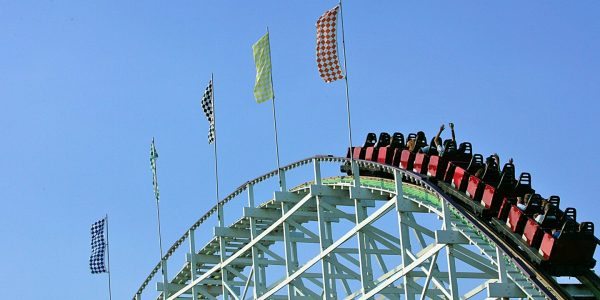 10. Roller Coasters