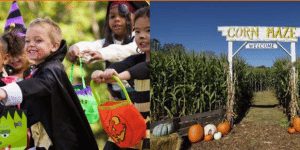 Candy in the Corn Trick or Treat Trail Candy in the Corn Trick or Treat Trail
