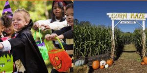 Candy in the Corn Trick or Treat Trail