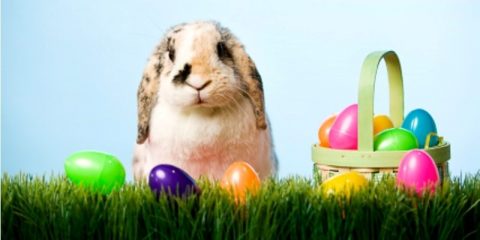 Best Easter Weekend 2018 Meals and Events at Myrtle Beach Hotels