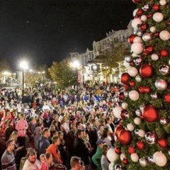 Tree Lightings Tree Lightings