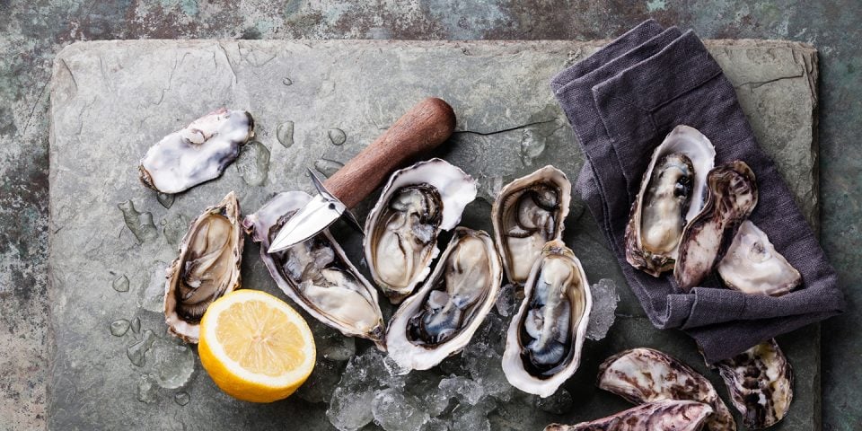 Enjoy Fresh Oysters