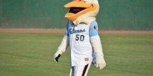 Myrtle Beach Pelicans