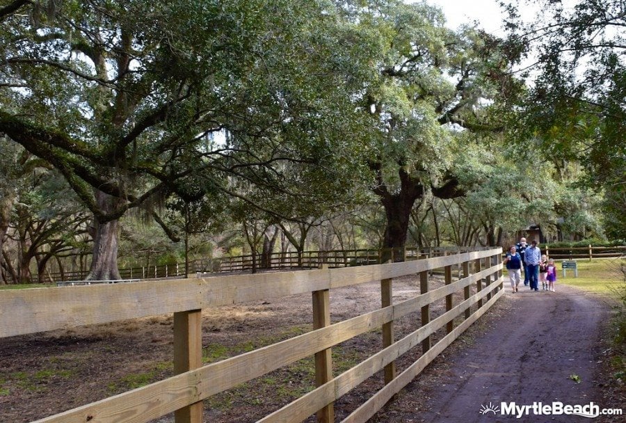 Myrtle Beach Photos Brookgreen Gardens Lowcountry Zoo