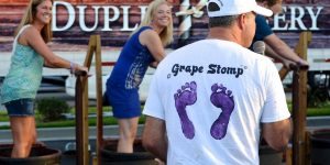 Duplin Winery Grape Stomp
