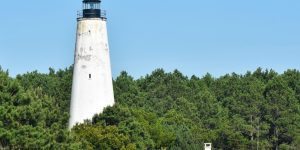 Cap’n Rods Lowcountry Tours