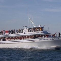 Voyager Deep Sea Fishing & Dolphin Cruises