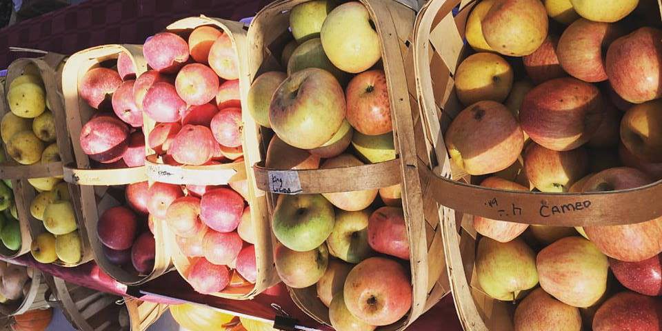 Carolina Forest Farmers Market Carolina Forest Farmers Market