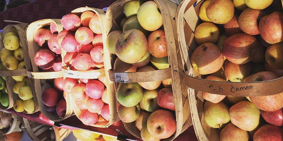 Carolina Forest Farmers Market