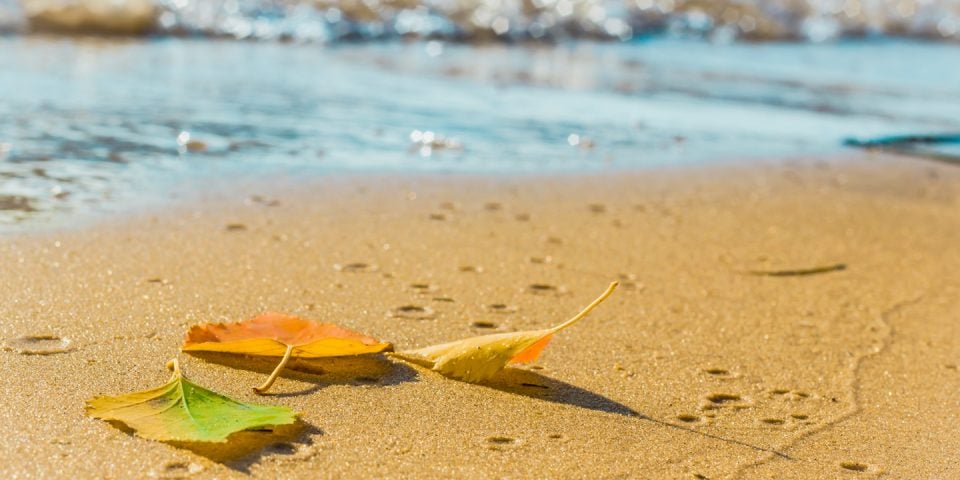 1. Hang at the Beach