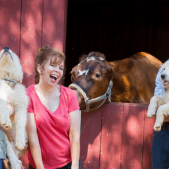 A New Life Ranch LLC