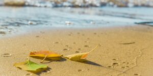 13 Reasons to Visit Myrtle Beach in the Fall