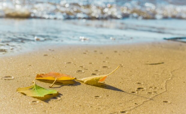 13 Reasons to Visit Myrtle Beach in the Fall
