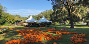 Fall Events and Festivals in Myrtle Beach