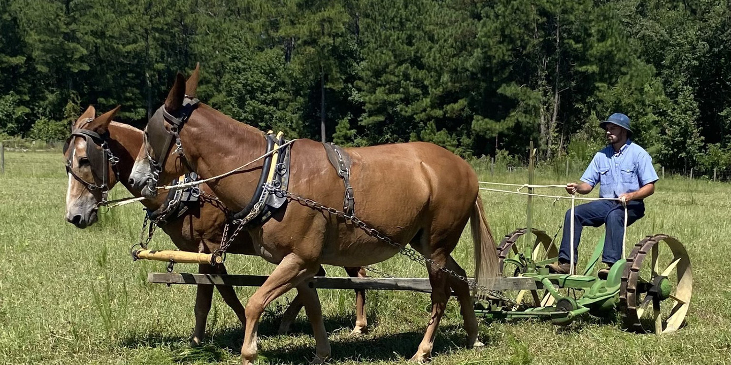L.W. Paul Living History Farm