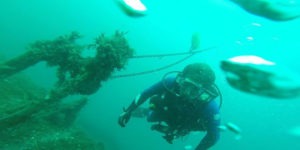 Coastal Scuba Coastal Scuba