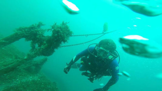 10. Scuba Diving