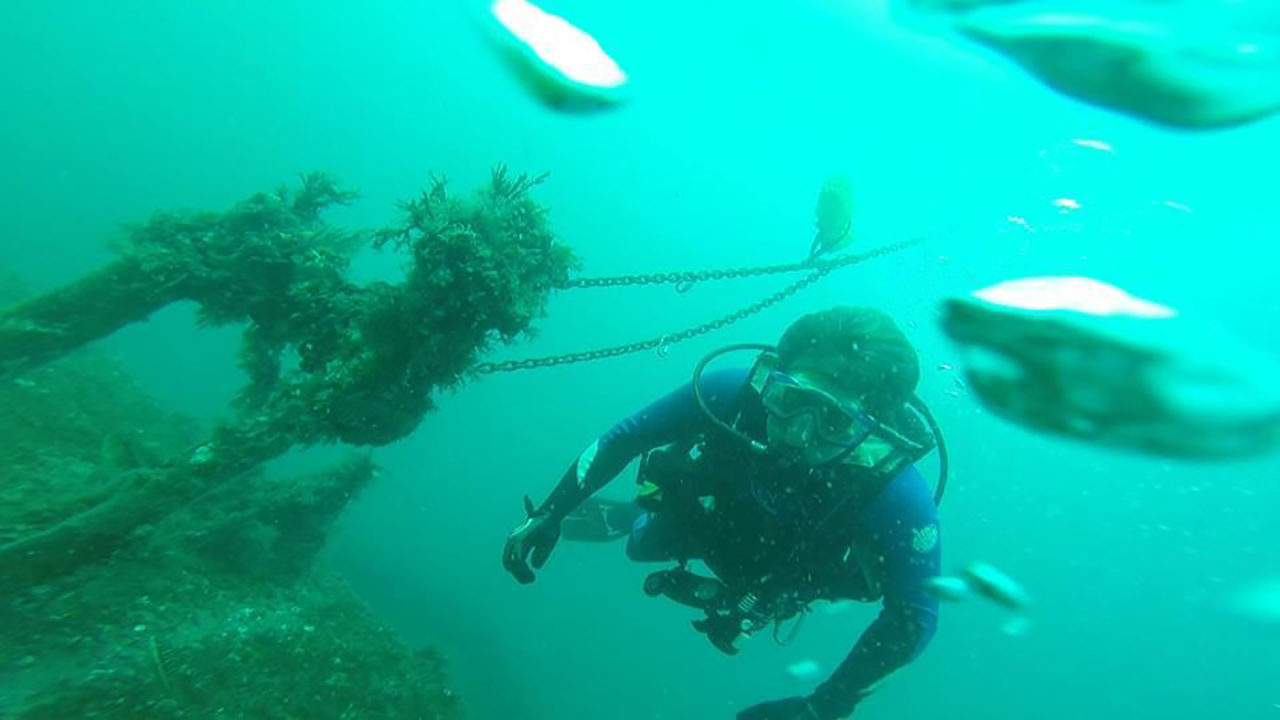 Scuba Diving