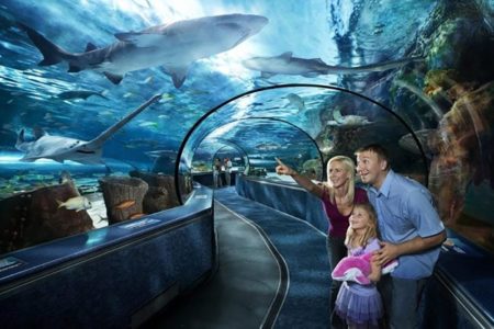10. Educational Attractions for Kids