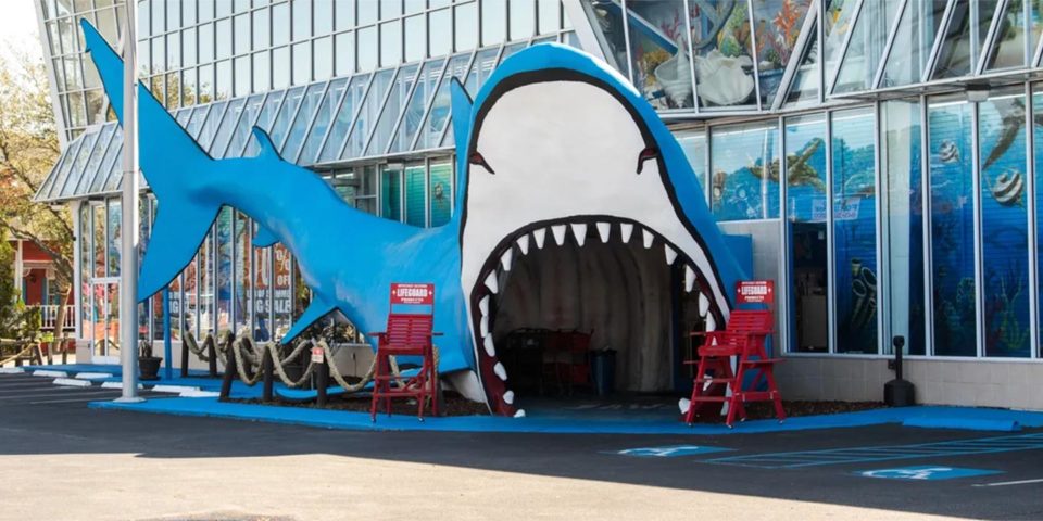 Jaws Resortwear