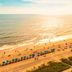 Top Beaches in South Carolina