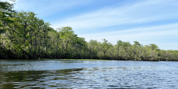 10. Waccamaw River