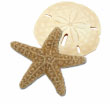 20% Off at Le Grand Cirque 20% Off at Le Grand Cirque