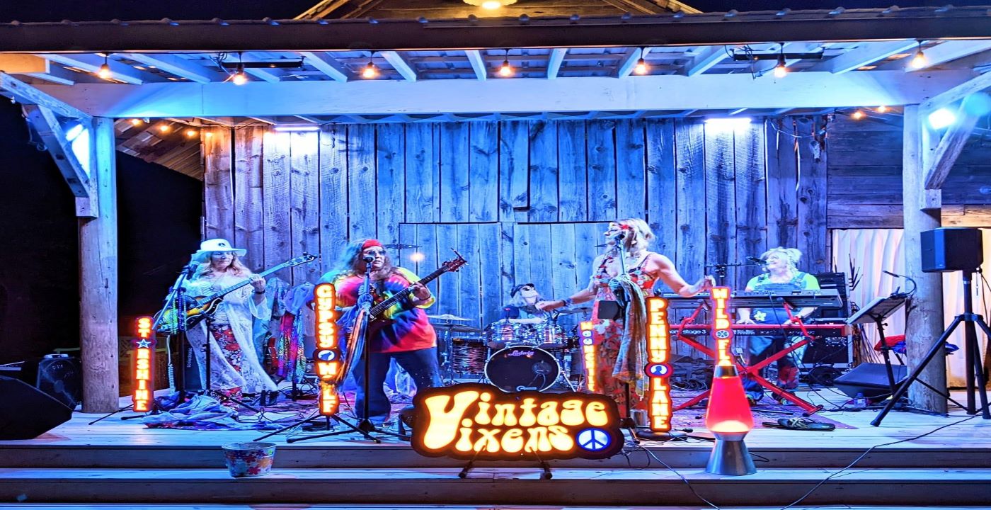 Hippie Fest featuring Vintage Vixens at 3001 Nightlife
