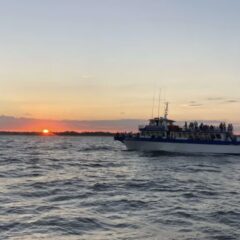 Ocean Sunset & Sealife Cruise