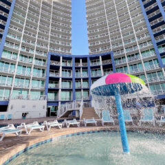 Save up to 25% OFF Year-Round!