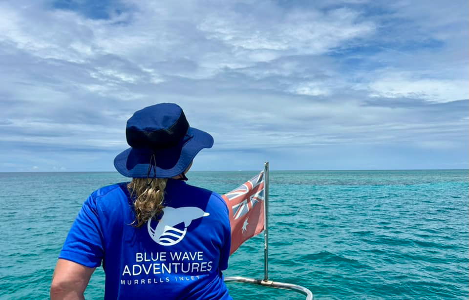 Blue Wave Adventures Dolphin Watch Attractions