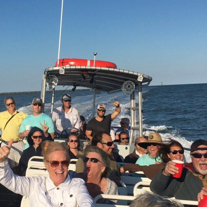 Blue Wave Adventures Dolphin Watch Attractions