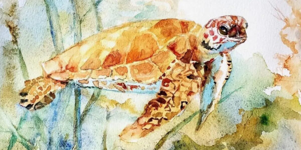 Turning the Tide for Sea Turtles Art Show & Sale