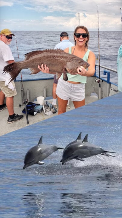 Crazy Sister Marina Fishing & Cruises