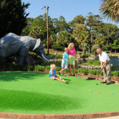 Jungle Safari Mini Golf