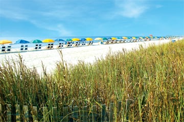 5. Enjoy Endless Sunshine & Warm Weather