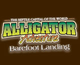 Alligator Adventure