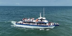 Vacations Made Easy Dolphin Cruises