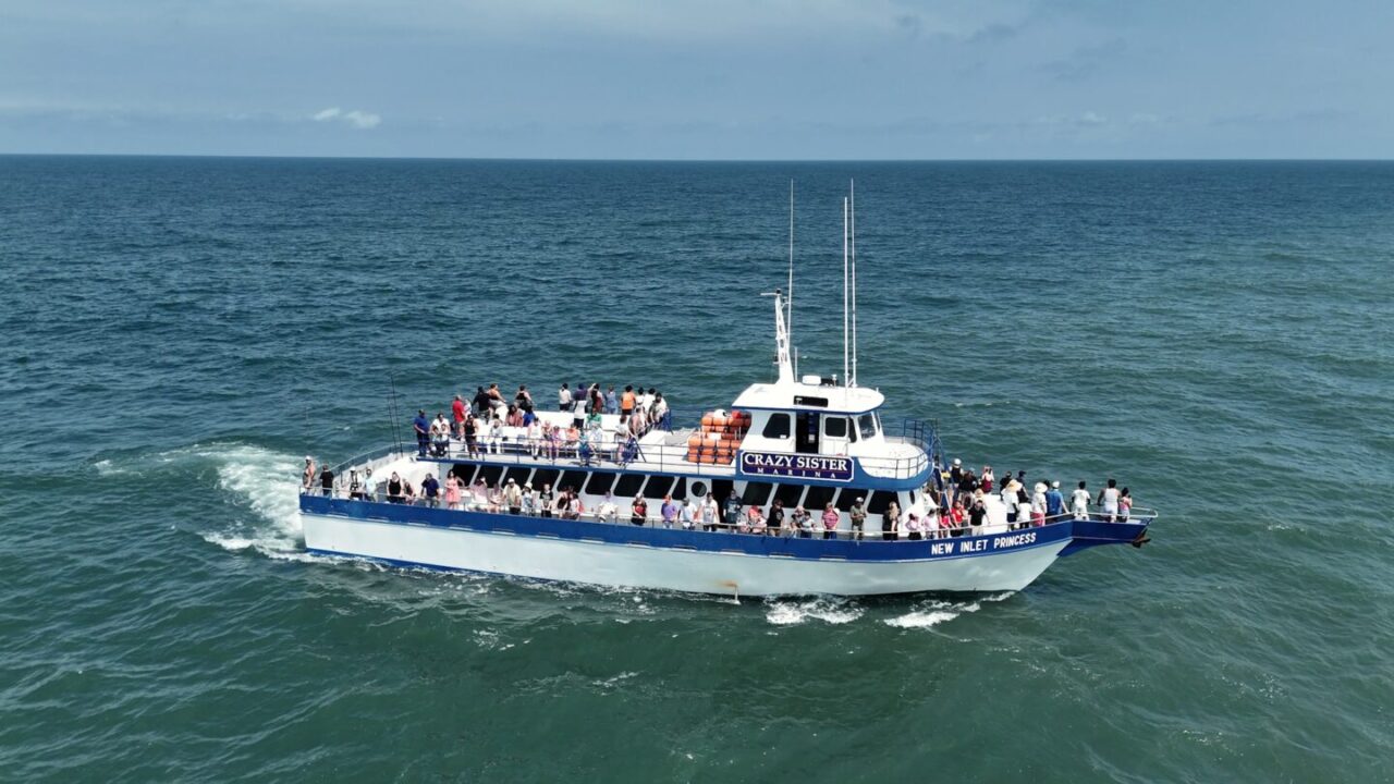 Vacations Made Easy Dolphin Cruises