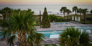 Pool Deck Christmas Tree Lighting