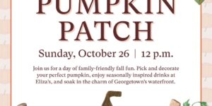 The George’s Fall Pumpkin Patch