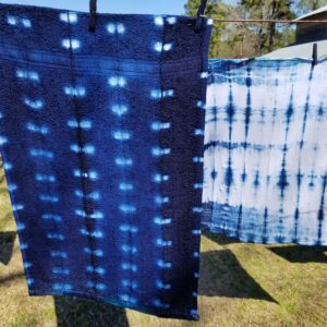 Indigo dyeing workshop at the L.W. Paul Living History Farm