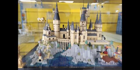 Bricks & Minifigs
