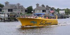 Sea Screamer